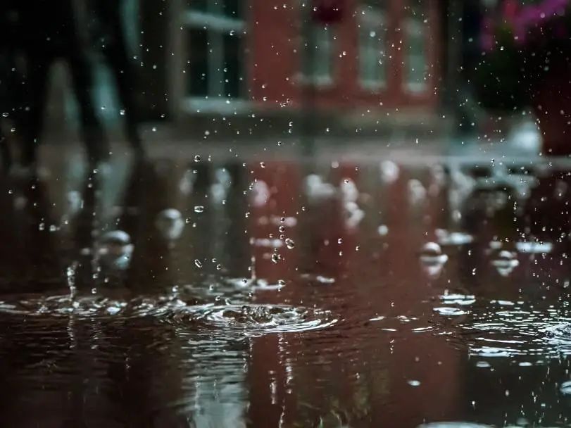 梅雨季“濕”意難擋，幸好有TA助您輕松破局！4